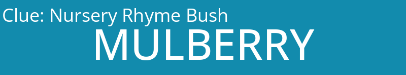 Nursery Rhyme Bush