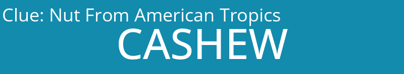 Nut From American Tropics