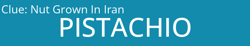 Nut Grown In Iran