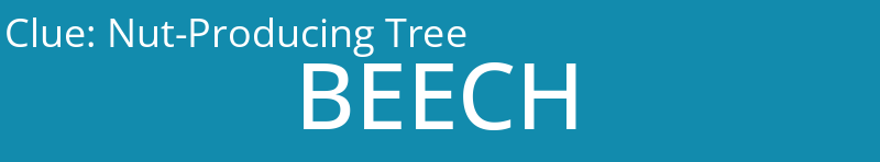 Nut-Producing Tree