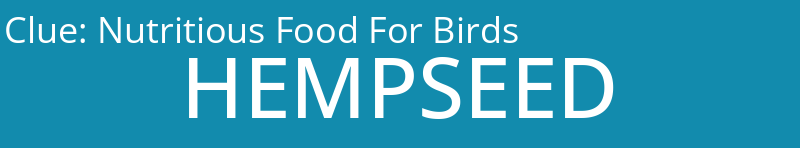 Nutritious Food For Birds