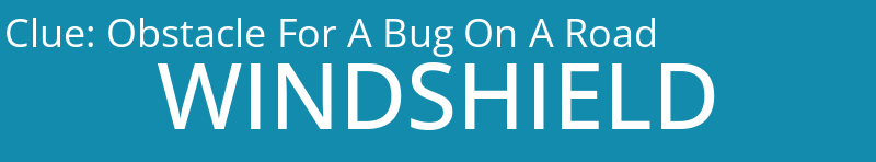 Obstacle For A Bug On A Road