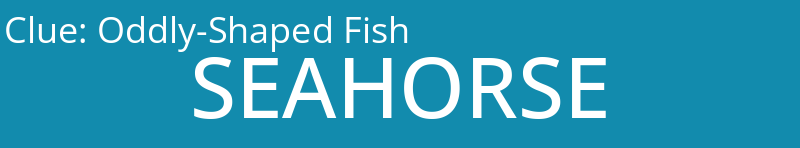 Oddly-Shaped Fish