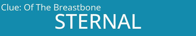 Of The Breastbone