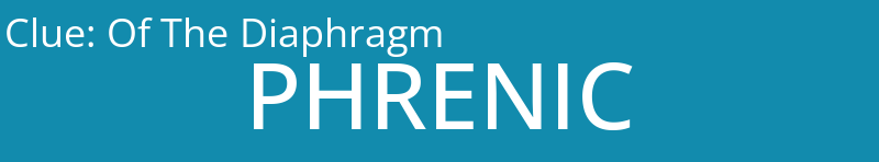 Of The Diaphragm