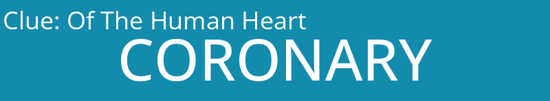 Of The Human Heart