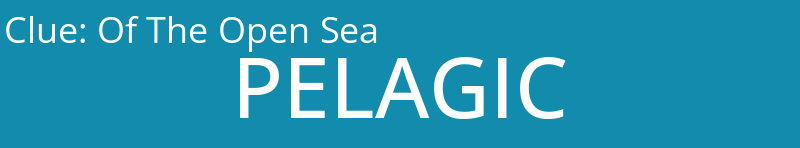Of The Open Sea