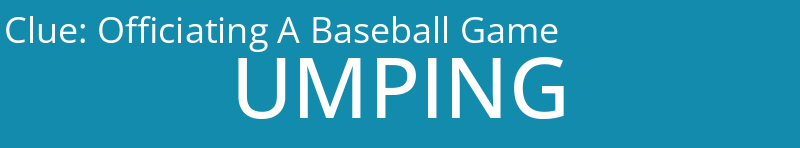 Officiating A Baseball Game
