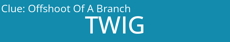 Offshoot Of A Branch