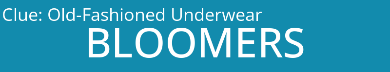 Old-Fashioned Underwear