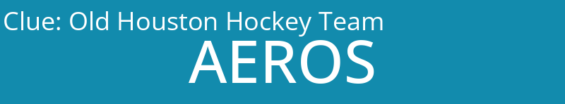 Old Houston Hockey Team