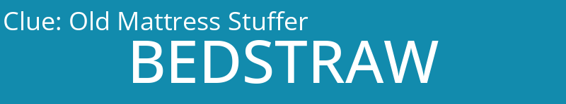 Old Mattress Stuffer