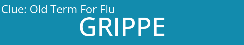 Old Term For Flu