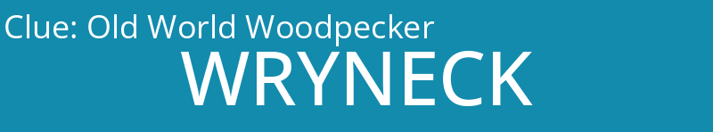 Old World Woodpecker