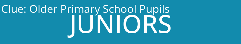 Older Primary School Pupils