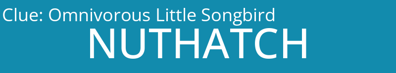 Omnivorous Little Songbird