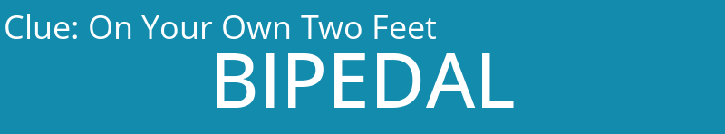On Your Own Two Feet