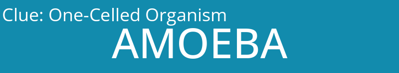One-Celled Organism
