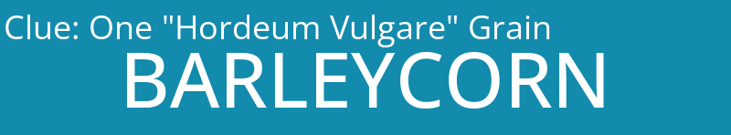 One "Hordeum Vulgare" Grain