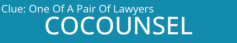 One Of A Pair Of Lawyers