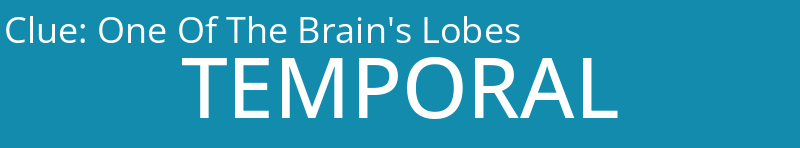 One Of The Brain's Lobes