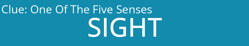 One Of The Five Senses