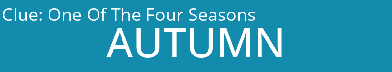 One Of The Four Seasons