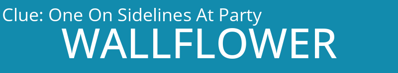 One On Sidelines At Party