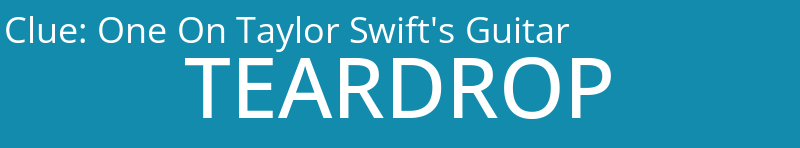 One On Taylor Swift's Guitar
