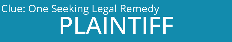 One Seeking Legal Remedy