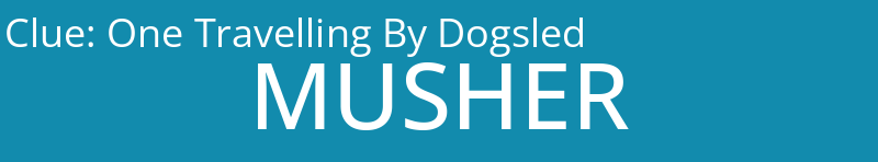 One Travelling By Dogsled