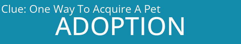 One Way To Acquire A Pet