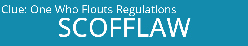One Who Flouts Regulations