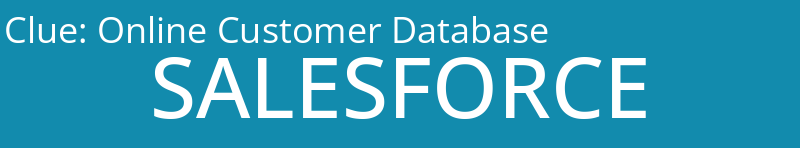 Online Customer Database