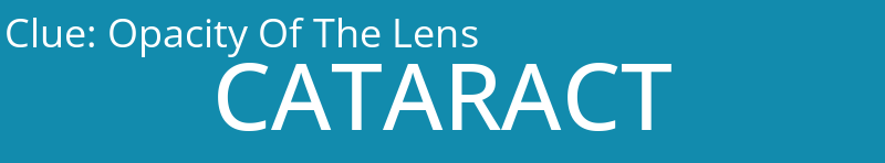 Opacity Of The Lens