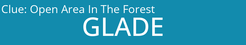 Open Area In The Forest