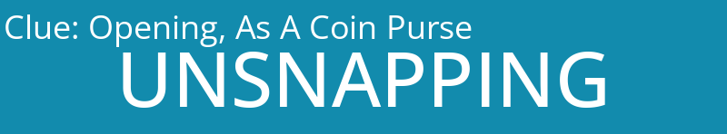 Opening, As A Coin Purse