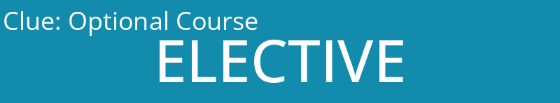 Optional Course