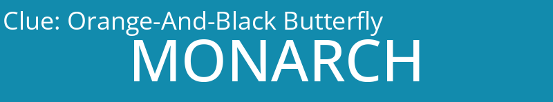 Orange-And-Black Butterfly