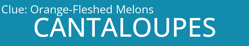 Orange-Fleshed Melons