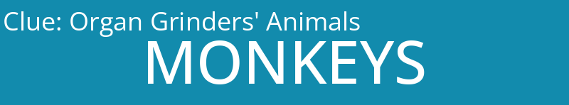 Organ Grinders' Animals
