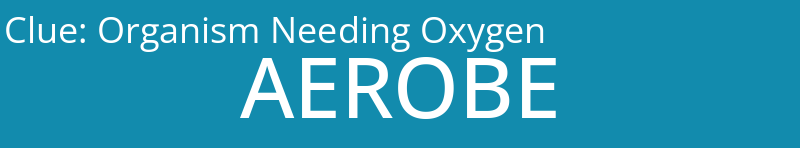 Organism Needing Oxygen