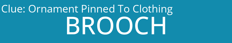 Ornament Pinned To Clothing