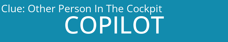 Other Person In The Cockpit