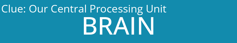 Our Central Processing Unit