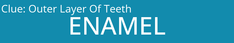 Outer Layer Of Teeth