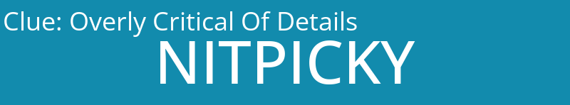 Overly Critical Of Details