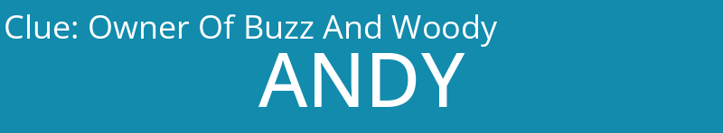 Owner Of Buzz And Woody