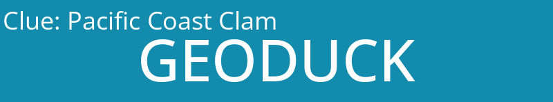 Pacific Coast Clam