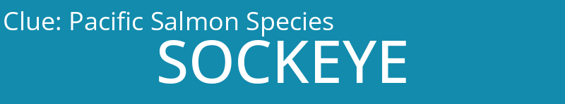 Pacific Salmon Species